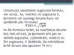 Prezentācija 'Vertikāls sviediens un vertikāla krišana', 5.