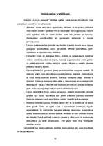 Diplomdarbs 'Valsts akciju sabiedrības "Latvijas dzelzceļš" darbības analīze 2003.–2007.gadā', 60.