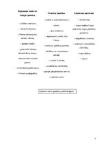 Konspekts 'Preču un pakalpojumu starptautiskā pielāgošana. Finansēšanas un maksājumu metode', 6.