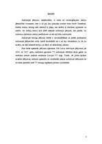 Referāts 'Televīzijas auditorijas reitingu pētījumi ', 3.