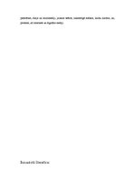 Konspekts 'Suverēnā mediju pieredze', 3.