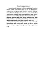 Referāts 'Personības attīstība. Pirmsskolas vecuma posms', 7.