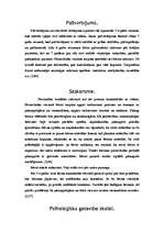 Referāts 'Personības attīstība. Pirmsskolas vecuma posms', 9.