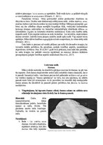 Referāts 'Māls mākslas terapijā', 5.