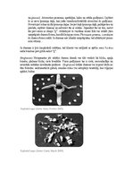 Referāts 'Māls mākslas terapijā', 6.