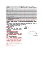 Konspekts 'Valsts loma ekonomikā', 4.