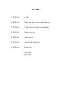 Referāts 'Meteņi', 5.