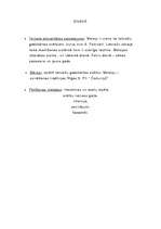 Referāts 'Meteņi', 6.