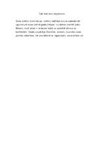 Referāts 'Meteņi', 10.