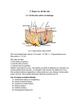 Referāts 'Tualetes ziepju īpašību pētīšana un atsevišķu to ingredientu ietekme uz cilvēka ', 13.
