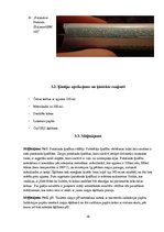 Referāts 'Tualetes ziepju īpašību pētīšana un atsevišķu to ingredientu ietekme uz cilvēka ', 16.