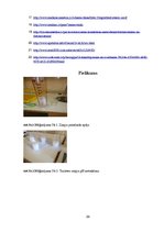 Referāts 'Tualetes ziepju īpašību pētīšana un atsevišķu to ingredientu ietekme uz cilvēka ', 23.