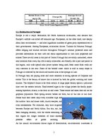 Konspekts 'Tourism in Portugal', 7.