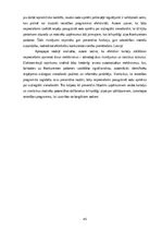 Diplomdarbs 'AIZLIEGTA VIENOŠANĀS PUBLISKAJOS IEPIRKUMOS', 45.