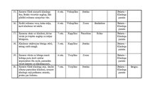 Konspekts 'Videoscenārijs "Klaidoņa stāsts"', 3.