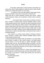 Referāts 'Celšanas un transporta mašīnu uzbūve un raksturojums', 3.