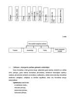 Referāts 'Celšanas un transporta mašīnu uzbūve un raksturojums', 6.