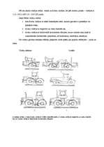 Referāts 'Celšanas un transporta mašīnu uzbūve un raksturojums', 12.