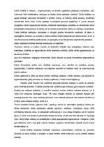 Referāts 'Celšanas un transporta mašīnu uzbūve un raksturojums', 24.