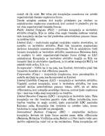 Referāts 'Offšorzonas un offšorkompānijas, to būtība. Praktiskā offšorzonu izmantošana', 13.