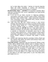 Referāts 'Offšorzonas un offšorkompānijas, to būtība. Praktiskā offšorzonu izmantošana', 22.