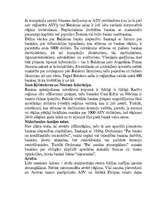 Referāts 'Offšorzonas un offšorkompānijas, to būtība. Praktiskā offšorzonu izmantošana', 25.