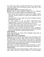 Referāts 'Offšorzonas un offšorkompānijas, to būtība. Praktiskā offšorzonu izmantošana', 27.