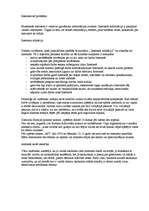 Referāts 'Internets kā problēma', 1.