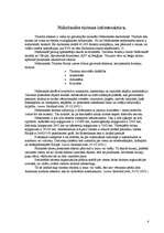 Referāts 'Nīderlande', 4.