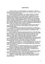 Referāts 'Nīderlande', 5.