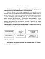 Eseja 'Cenu politika uzņēmumā', 1.