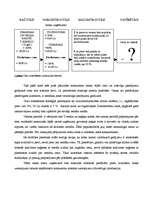 Eseja 'Cenu politika uzņēmumā', 2.