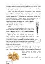 Referāts 'Graudaugi un to pārstrādes produkti', 7.