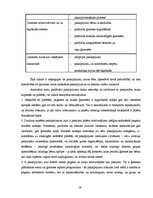 Diplomdarbs 'Sociālā atbalsta programmas lauku kopienā darbā ar ģimenēm ar bērniem', 19.