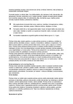 Prezentācija 'Ķīmiķu nozares', 10.