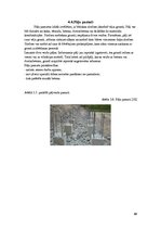 Konspekts 'Prasības pamatiem un to klasifikācija', 13.