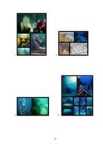 Referāts 'Zemūdens arheoloģija', 14.