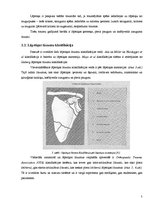 Referāts 'Lāpstiņas lūzumi', 5.