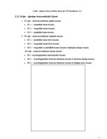 Referāts 'Lāpstiņas lūzumi', 7.