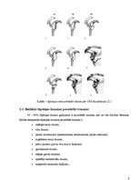Referāts 'Lāpstiņas lūzumi', 8.