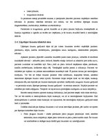 Referāts 'Lāpstiņas lūzumi', 9.