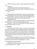 Referāts 'Lāpstiņas lūzumi', 13.