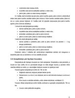 Referāts 'Lāpstiņas lūzumi', 15.