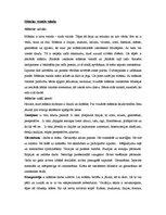 Referāts 'Portfolio vizuālajā mākslā', 3.