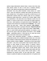 Referāts 'Portfolio vizuālajā mākslā', 14.