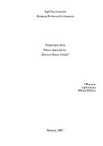 Referāts 'Datora tīrīšanas līdzekļi', 1.