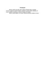 Referāts 'Datora tīrīšanas līdzekļi', 4.