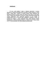 Konspekts 'Jautājumi politikas zinātnē', 3.