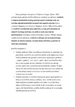 Konspekts 'Konflikti, to veidi un novēršanas paņēmieni projekta komandā projekta darbības l', 1.