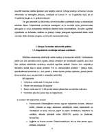 Referāts 'Eiropas Savienības industriālā politika', 9.